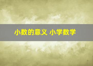 小数的意义 小学数学